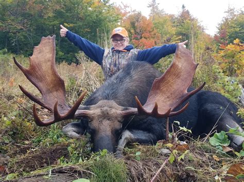 Maine Moose Hunting