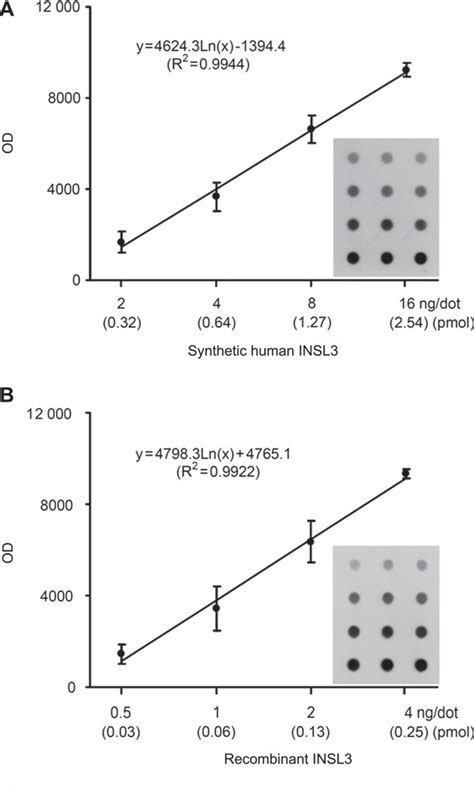 Figure 1 From The Active Form Of Goat Insulin Like Peptide 3 Insl3 Is