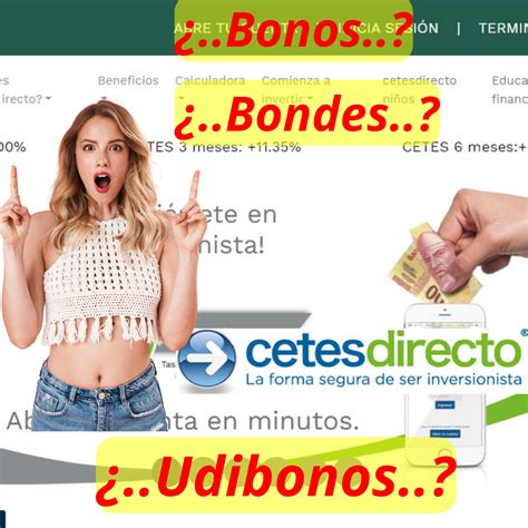 Qu Son Y C Mo Funcionan Los Cetes Bonos Bondes Y Udibonos