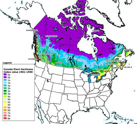 Plant Hardiness Zones in Canada - Everything Zoomer