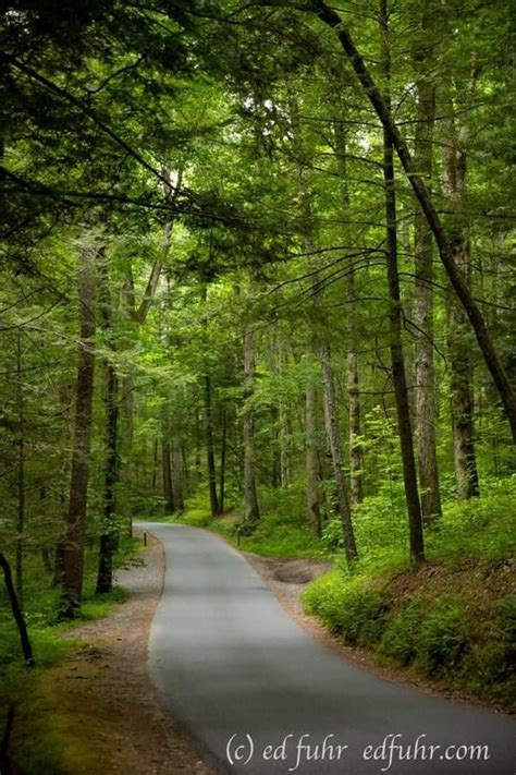 Pin De Yvonne Sheldon En Forests Trees And Meadows Hermosos Paisajes