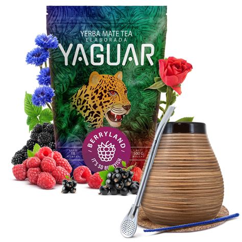 Yerba Mate Yaguar Berryland Starter Set G Sady Startovac