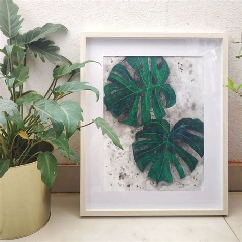 Monstera Deliciosa Original Watercolor Painting Original Watercolors Original Art