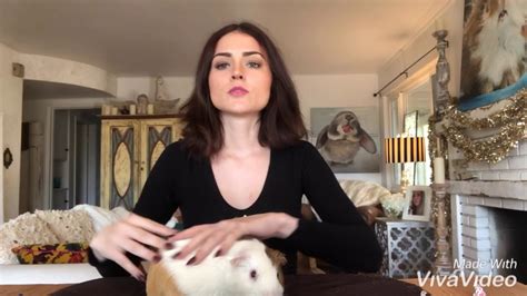 GUINEA PIG Clipping Nails YouTube