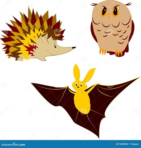 Nocturnal Animals Royalty Free Stock Image - Image: 7648456