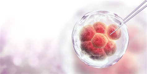 Stem Cell Therapies And Everything To Know About It Health N Medicare