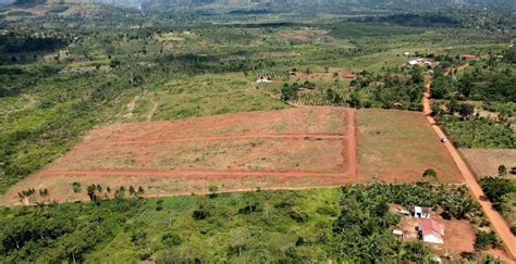 A Guideline To Choosing Your Ideal Piece Of Land In Uganda Canaan