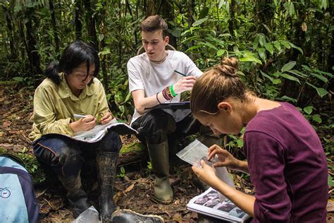 Amazon Conservation Project In Peru The Great Projects