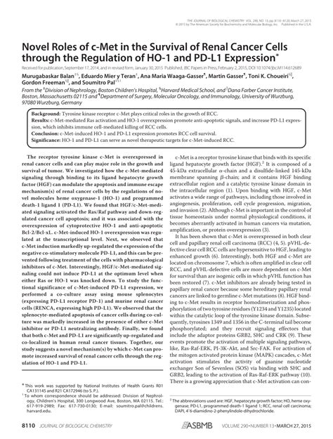 Pdf Novel Roles Of C Met In The Survival Of Renal Cancer Cells