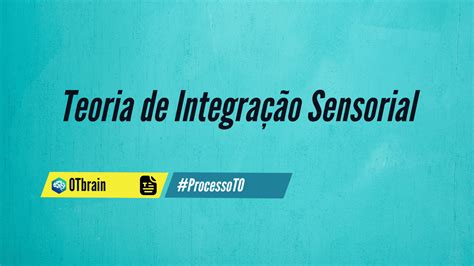 Modelos Terapia Ocupacional Teoria De Integra O Sensorial