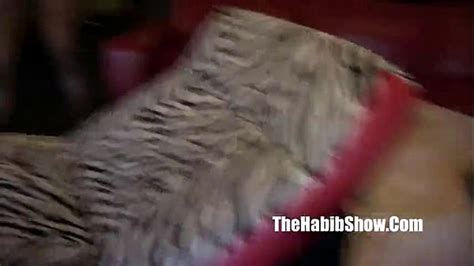 Asian Black Anal Search XVIDEOS
