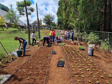 Projeto implanta hortas comunitárias em escolas de Xanxerê