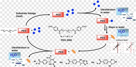 Polietilenglicol Peg Qu Mica Solvente En Reacciones Qu Micas