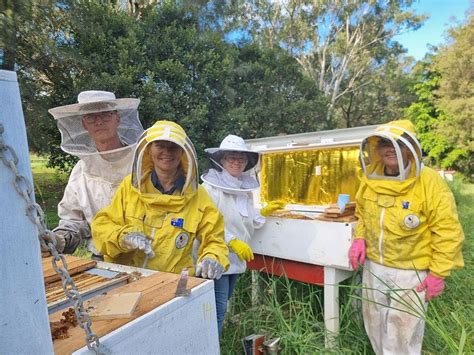 Beekeeping 4 New-Bees, Honey Harvesting, Long Bee Hives , Bee Hive ...