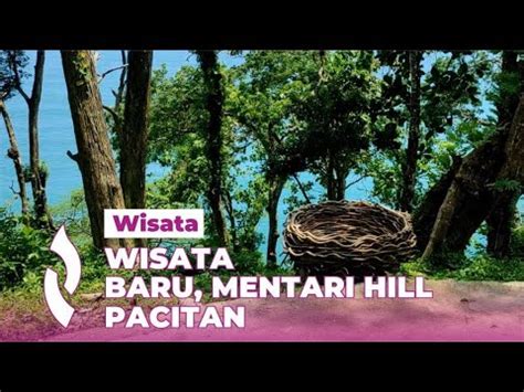 Mentari Hill Wisata Baru Bertema Spot Foto Di Dekat Teluk Pacitan