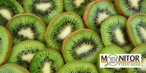 Il Consumo Di Kiwi Si Sta Spostando Al Nord Italia Italiafruit News