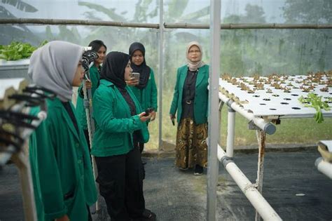 Mahasiswa Prodi Agroteknologi Lakukan Magang Mandiri MBKM Universitas