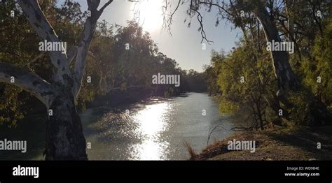 Murrumbidgee River Near Maude On The Hay Plain Southern Central NSW