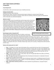 Exploring Impact Cratering And Meteorites In Lab 9 Course Hero