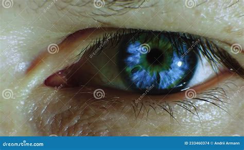 Human Eye Of Dark Blue Color Close Up Male Eye Close Up Stock Footage