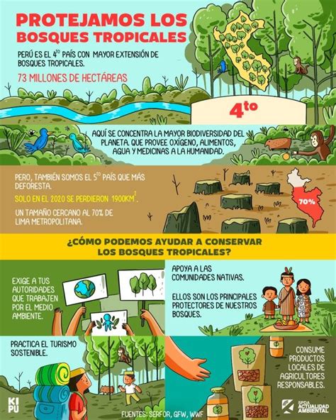 Infograf A D A De Los Bosques Tropicales C Mo Podemos Ayudar A