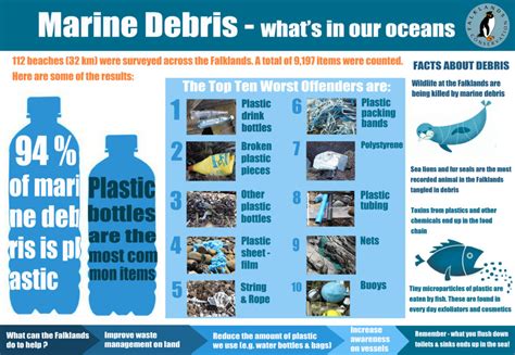 Marine Debris - Falklands Conservation