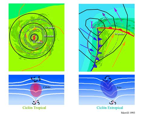 ¿qué Es Un Ciclón Extratropical Stormcatcher