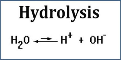 Hydrolysis - Assignment Point