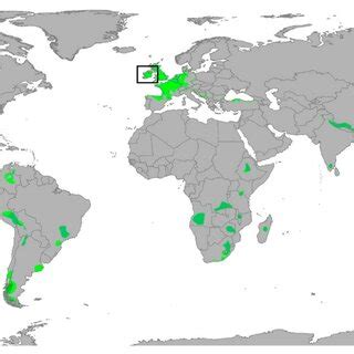 World map of the temperate oceanic climate zones (in green, modified ...