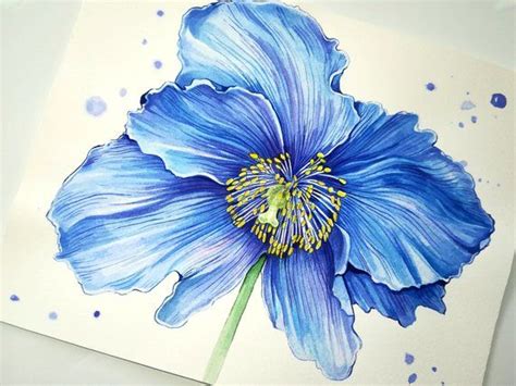 Blue Poppy Print Watercolor Flower Poppy Watercolor Blue Flower ...