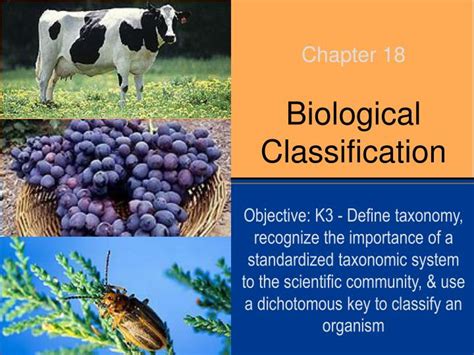 Ppt Biological Classification Powerpoint Presentation Free Download Id6568882