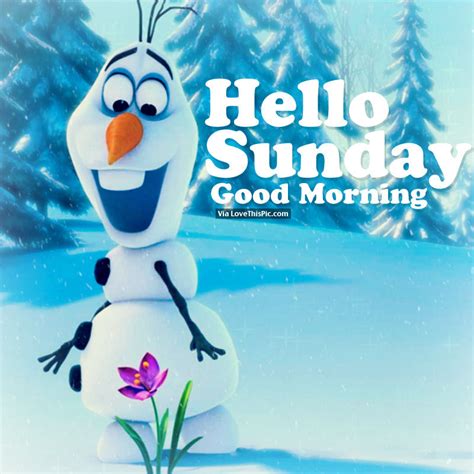 Hello Sunday Good Morning Pictures Photos And Images For Facebook