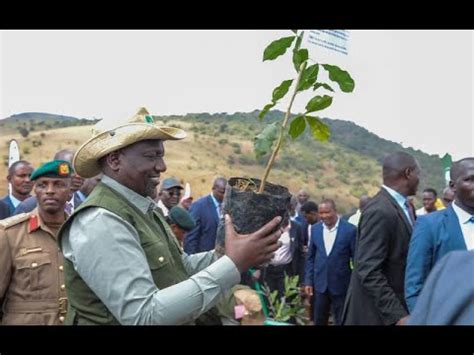 President Ruto Dp Gachagua Pcs Mudavadi Leads Tree Planting Kaptagat