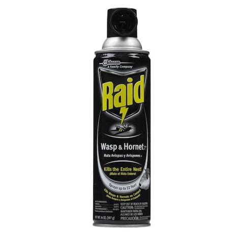 Raid Oz Wasp And Hornet Aerosol Spray Killer Case Of