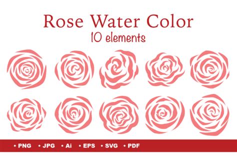 Rose Water Color Graphic By Aleeza Design Creative Fabrica