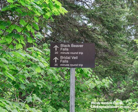 Unique Canadian experience - scenic Agawa Canyon train tour