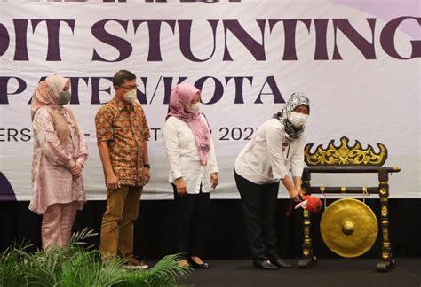 Wagub Chusnunia Buka Rakor Tim Audit Stunting Kabupaten Kota Se