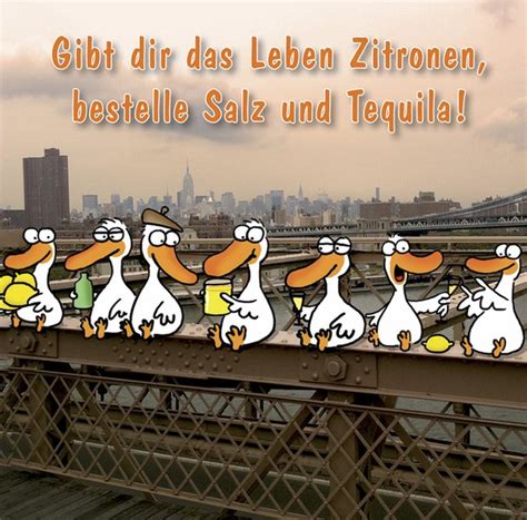 Buchcover Gibt Dir Das Leben Zitronen Bestelle Salz Und Tequila