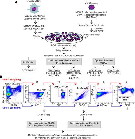 Figure 1 From Respiratory Syncytial Virus Interferon Antagonist NS1