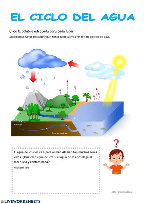 Ejercicio De E Ciclo Del Agua Ciclo Del Agua Material Educativo Fichas