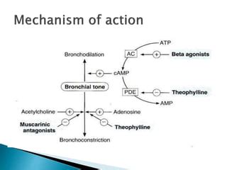 Aminophylline drug | PPT