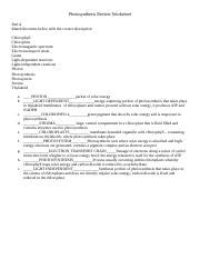 Photosynthesisreviewworksheet KEY 2 Doc Photosynthesis Review