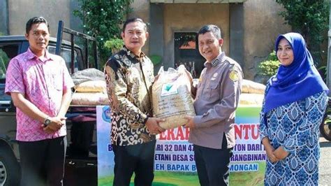 tag lahan tambak jadi demplot padi unggulan bsip tantang lamongan