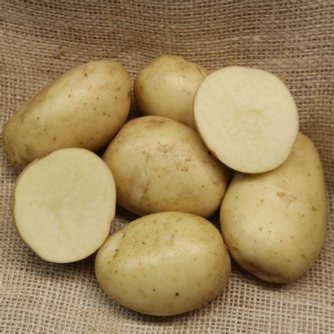 Gatsby Organic Potatoes Ready To Eat Now Potato House 🥔