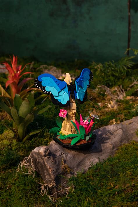 Insect Lego Set 8