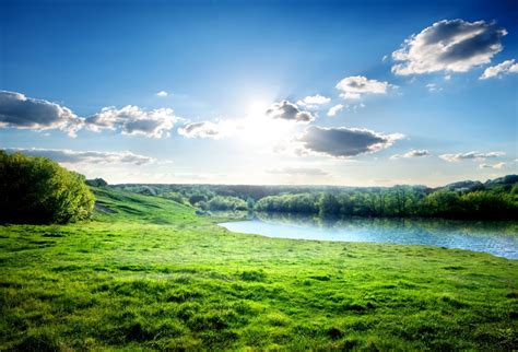 Scenery Photography Backdrops Beautiful Grassland Scenery Landscape Background Sale