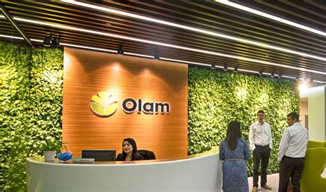 Olam International Logo