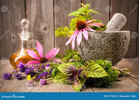 Alternative Medicine Stock Image Image Of Lavender Balm 56175631