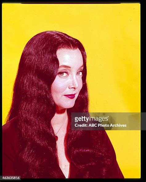 Carolyn Jones Gallery Photos And Premium High Res Pictures Getty Images