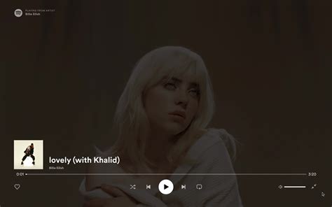 Spotify Full Screen View Screenshot